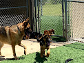 Pet boarding services Midwest Dog Center in Andale in Kansas