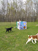 Pet boarding services Mine Branch Dog Ranch, Llc. in Crimora in Virginia