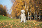 Pet boarding services Minnesota Veterinary Hospital in St Paul in MN