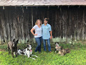 Pet boarding services Mission Road Kennels in Cartersville in GA