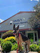 Pet boarding services Molly's Country Kennels Inc in Lansdale in Pennsylvania