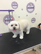 Pet boarding services Monalicia Professtional Dog Grooming in Hagåtña in Guam