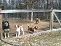 Pet boarding services Morning Star Farm Pet Resort in Thompson in CT