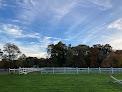 Pet boarding services Morning Star Horse Farm in Saunderstown in RI