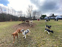 Pet boarding services Mountain Dogs Daycare (largest Outdoor Doggie Daycare ) in North Yarmouth in Cumberland