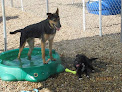 Pet boarding services Mrs Doolittle's Pet Stay N Play in Oklahoma City in OK