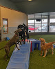 Pet boarding services Mt. Hood Pet Resort in Sandy in Oregon