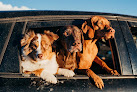 Pet boarding services Murray Animal Hospital And Exotics in Murray in UT