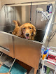 Pet boarding services My Furry Pet's Staycation Llc in Houma in Louisiana