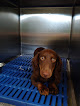 Pet boarding services My Montgomery Vet in Montgomery in Alabama
