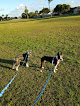 Pet boarding services My Other Mommy in Boca Raton in Palm Beach