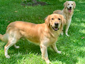 Pet boarding services Nancy Crane's Family Pet Care in High Ridge in Jefferson