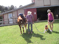 Pet boarding services Natchez Trace Stables in Canton in Madison