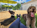 Pet boarding services National Barks Pet Resort in Spring Lake in Cumberland