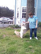 Pet boarding services Nature Land Pet Resort in Hensley in Arkansas