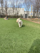 Pet boarding services New Hope Boarding & Grooming in Rogers in Arkansas