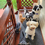 Pet boarding services Nky Paw Pals - Pet Sitters Boarding in Erlanger in Kentucky