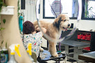 Pet boarding services Noble Kennels in Oakdale in California