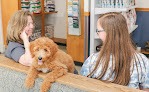 Pet boarding services North Kingstown Animal Hospital in North Kingstown in RI