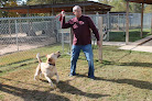 Pet boarding services North Meridian Pet Retreat in Meridian in MS