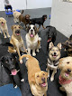 Pet boarding services North Star Pet Resort in Palmer in Alaska