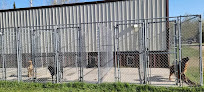 Pet boarding services Northern Pines Dog Boarding in Hibbing in MN