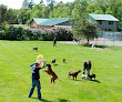 Pet boarding services Northland Pet Lodge in Crosslake in MN