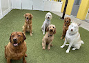 Pet boarding services Northridge Playcare And Boarding in Wichita in KS