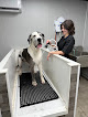 Pet boarding services Norway Kennels in Marseilles in IL