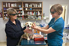 Pet boarding services Oak View Animal Hospital in Hoover in Alabama