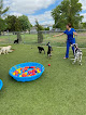 Pet boarding services Oakcrest Pet Hospital in Wichita in Kansas