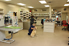 Pet boarding services Oakdale Animal Hospital: Reservoir, Ms Sullivan William C Dvm in Brandon in Rankin