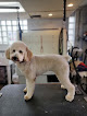 Pet boarding services Oberjoch Boarding & Grooming Kennels in Williamsport in Pennsylvania