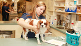 Pet boarding services Ocean State Veterinary Specialists in East Greenwich in Rhode Island