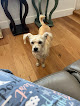 Pet boarding services Ocotillo Animal Clinic & Pet Resort in Chandler in Chandler, AZ