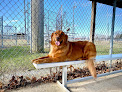 Pet boarding services Off Leash K9 Training Of Dayton, Ohio in Mechanicsburg in OH