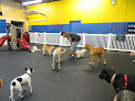 Pet boarding services Ohana Doggie Day Care & Spa in Honolulu in HI