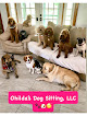 Pet boarding services Ohilda's Dog Sitting, Llc in Arcadia in FL