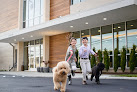 Pet boarding services Olde Towne Pet Resort in North Bethesda in North Bethesda, MD