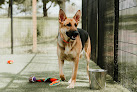 Pet boarding services On Point Pet Resort in Hebron in Kentucky