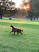 Pet boarding services On The Ball in Prairie Village in KS