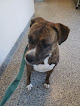 Pet boarding services Overland Park Veterinary Center in Overland Park in Kansas
