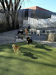Pet boarding services Page Point Animal Hospital And Pet Resort in Durham in NC