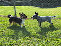 Pet boarding services Palm Beach Pet Hotel & Spa in West Palm Beach in Palm Beach