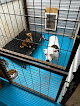 Pet boarding services Pampered Paws Small Animal Boarding in Paris in TX