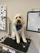 Pet boarding services Pampered Pet Canine Center Inc in Forest in Virginia