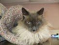 Pet boarding services Pampered Pets Bed & Breakfast in Metairie in Louisiana