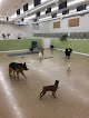 Pet boarding services Pampered Pets Boarding And Daycare in Baxter in MN