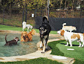 Pet boarding services Pampered Pets Inn in Mooresville in North Carolina