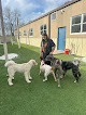 Pet boarding services Pampered Pets Resort And Spa in East Dundee in Kane